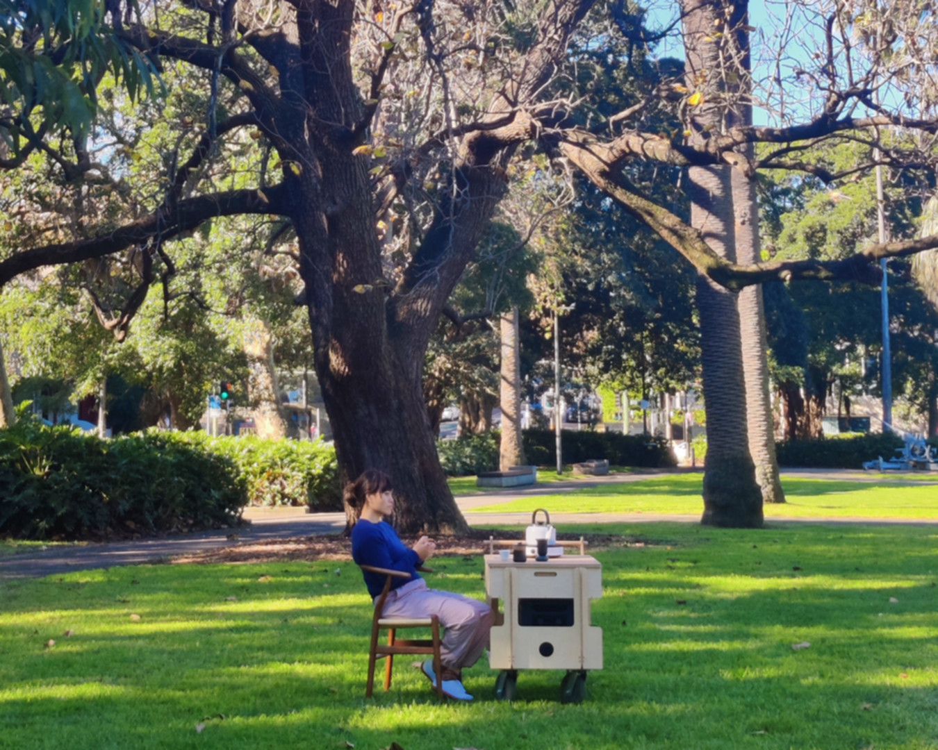 A person seated with the Hearth beneath a large park tree
